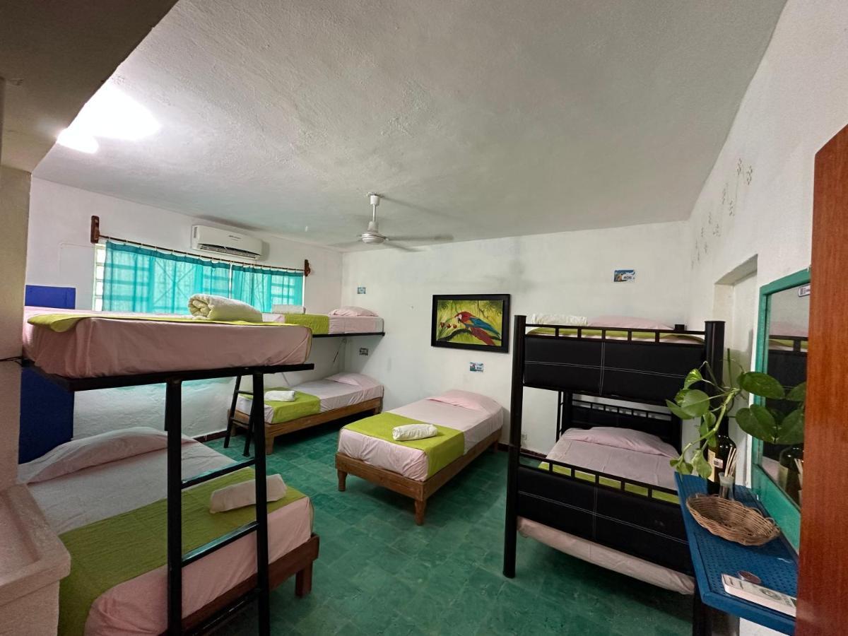 Hostel 35 Вальядолід Екстер'єр фото