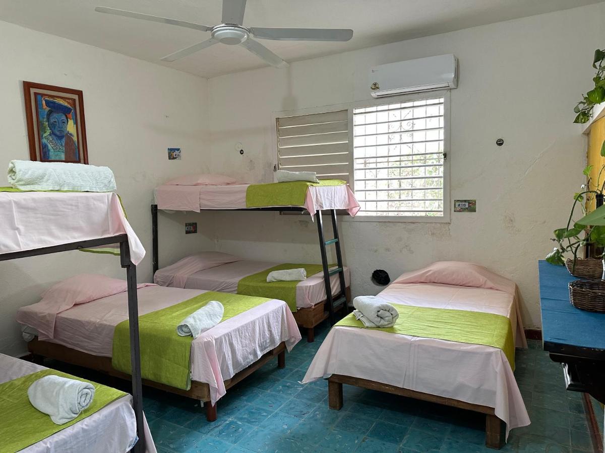 Hostel 35 Вальядолід Екстер'єр фото