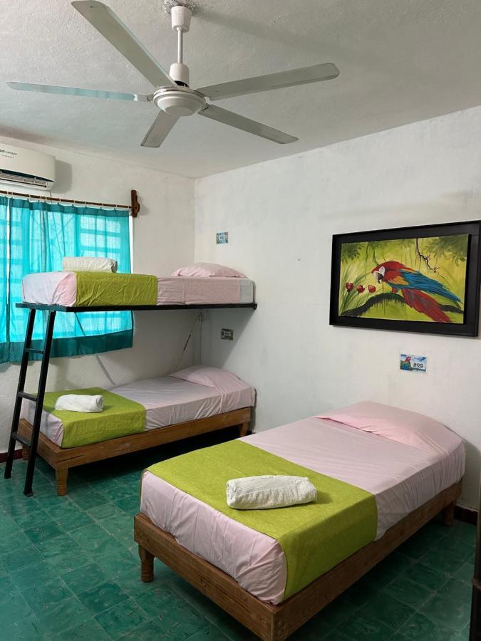 Hostel 35 Вальядолід Екстер'єр фото