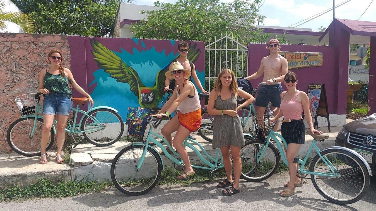 Hostel 35 Вальядолід Екстер'єр фото